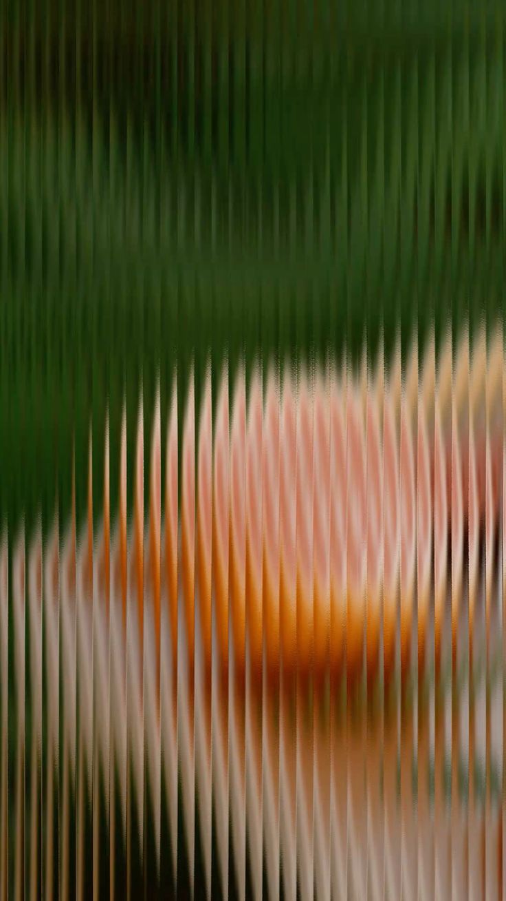 Agentic AI o Workflow: Estrategia y Presupuesto