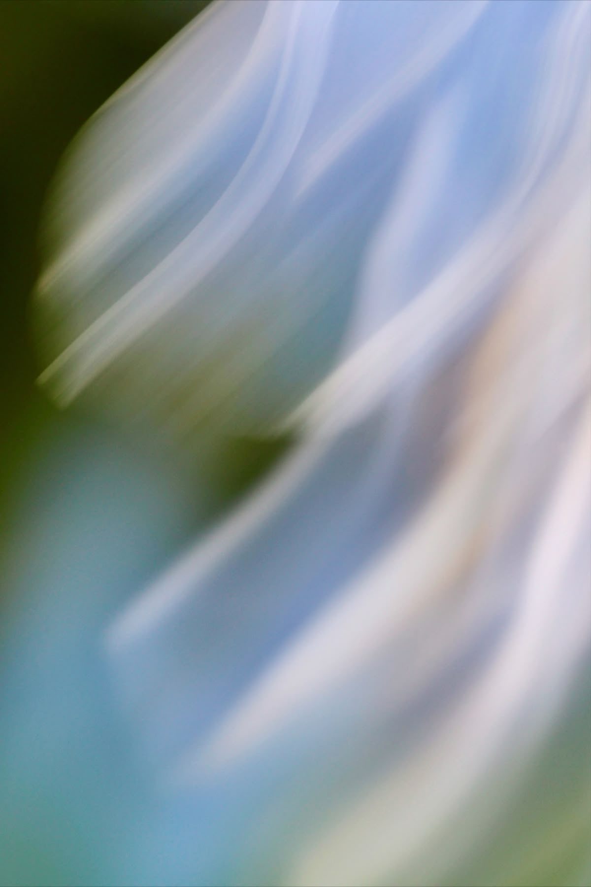 Cuando la IA dejó de responder y empezó a preguntar