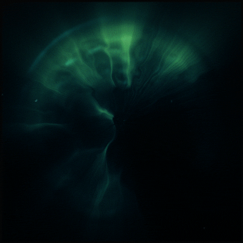 Explora nuestros servicios